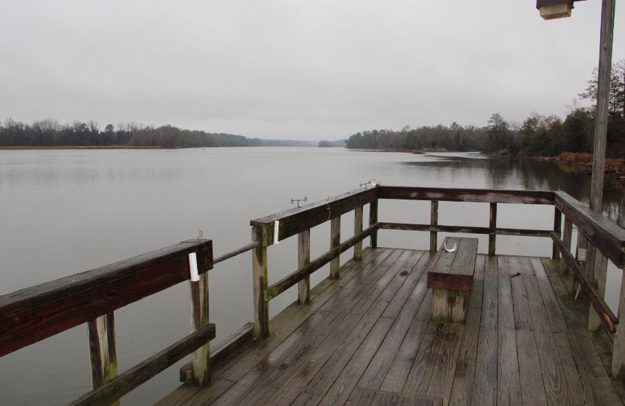 Florence Marina State Park, Georgia, USA